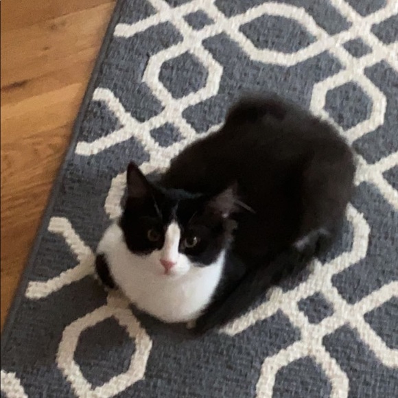 Meet the Posher Other - Meet your Posher, Shelby